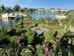 Queen Creek Real Estate Newsletter