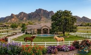 Instant Home Offer