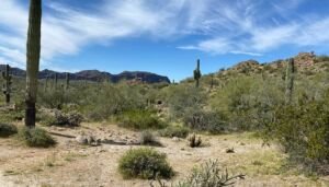 san tan mountain regional park